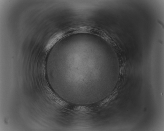 X0000102030341200807181355