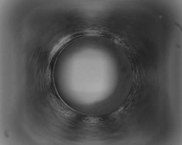 X0000102030343200807181355