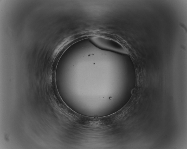 X0000102030344200807181355