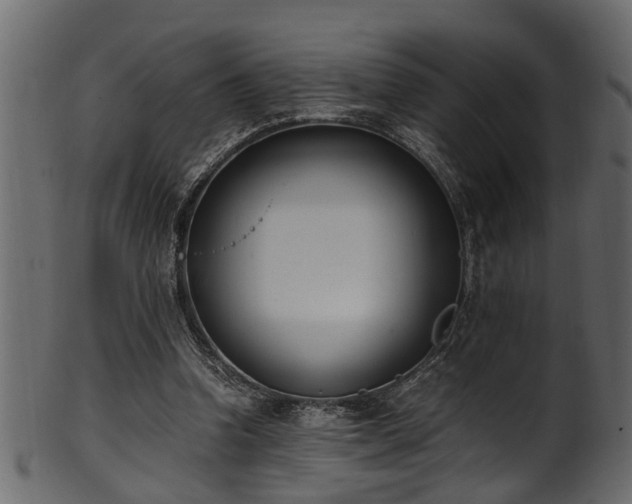 X0000102030346200807181355