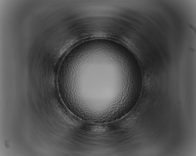 X0000102030347200807181355