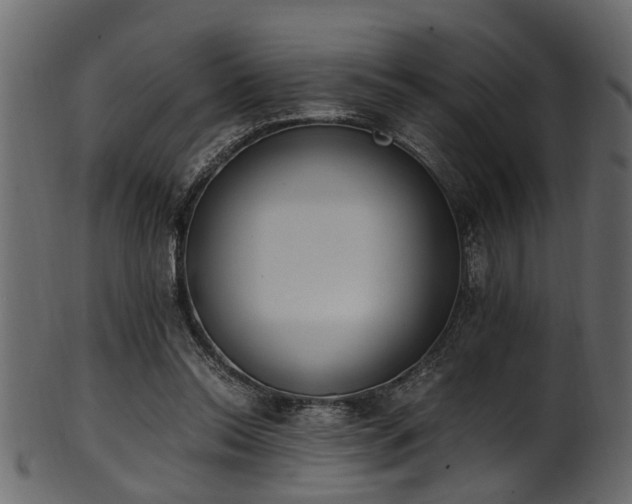 X0000102030350200807181355