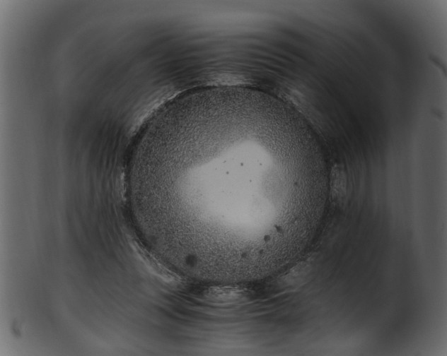 X0000102030351200807181355