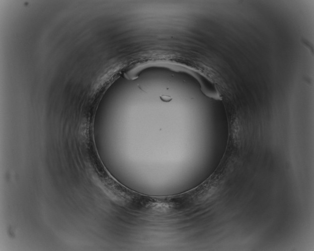 X0000102030352200807181355