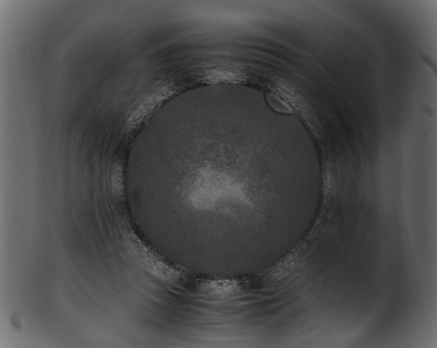 X0000102030353200807181355