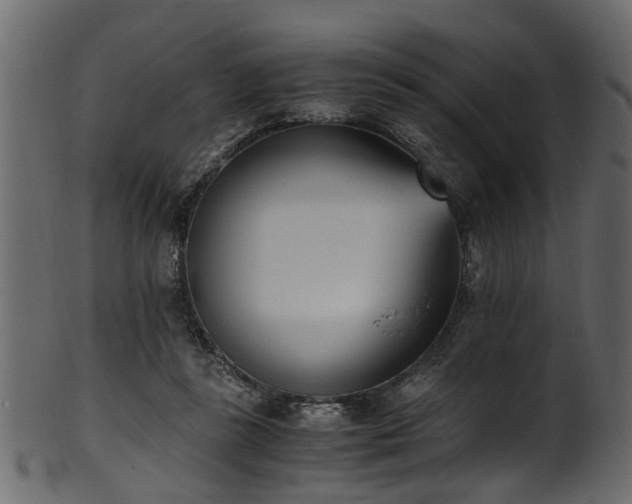 X0000102030355200807181355