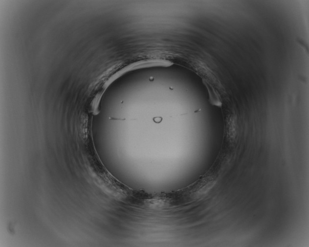 X0000102030356200807181355