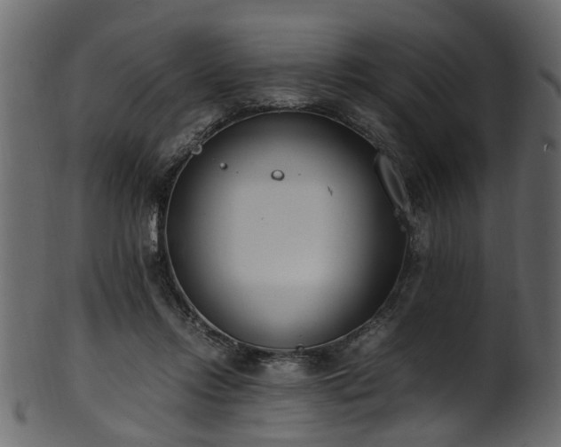 X0000102030358200807181355