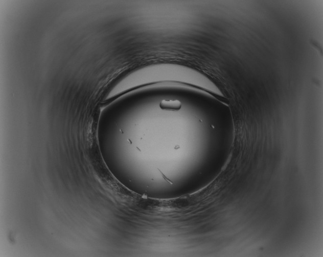 X0000102030360200807181355