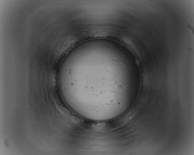 X0000102030362200807181355