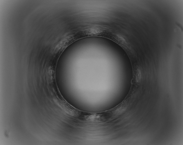 X0000102030366200807181355