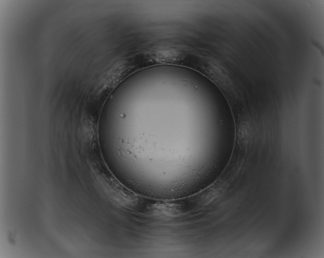 X0000102030367200807181355