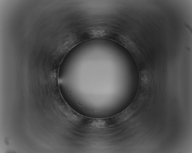 X0000102030369200807181355