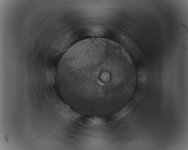 X0000102030370200807181355