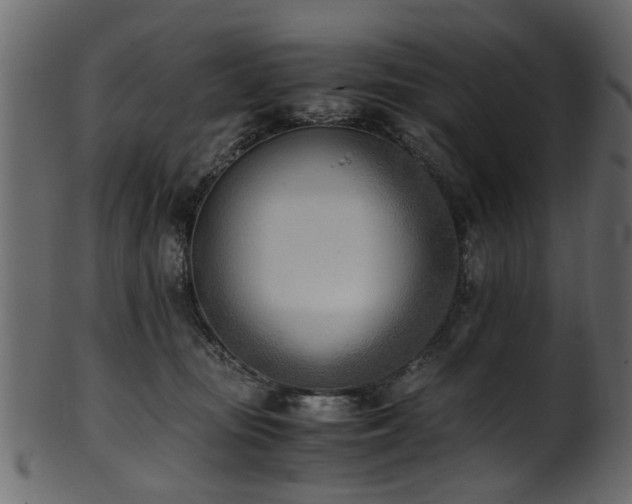 X0000102030371200807181355