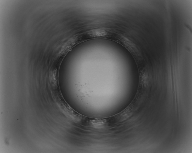 X0000102030373200807181355