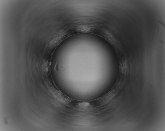 X0000102030374200807181355