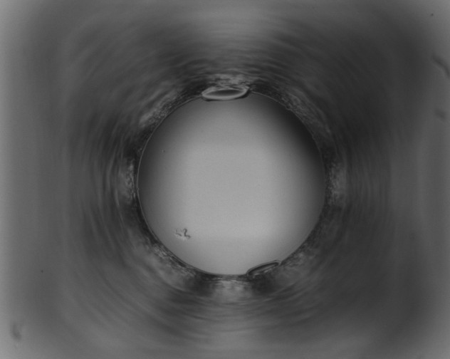 X0000102030376200807181355