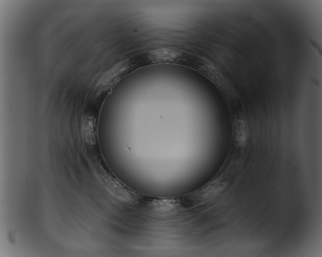 X0000102030378200807181356