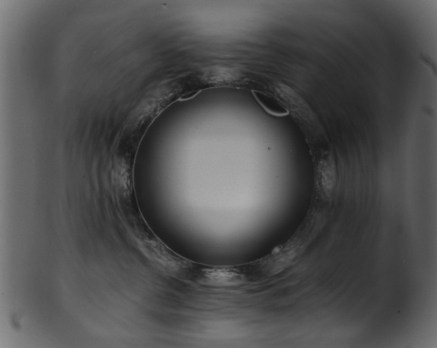 X0000102030380200807181356