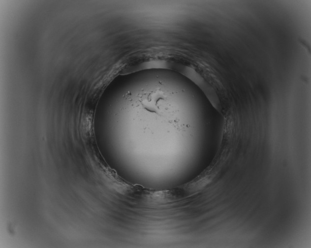 X0000102030382200807181356