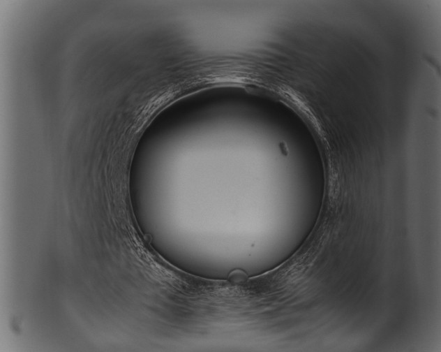 X0000102030385200807181355