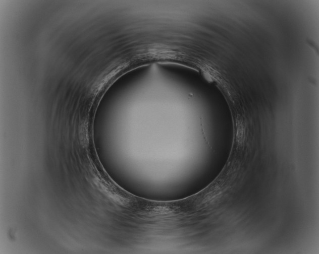 X0000102030390200807181355