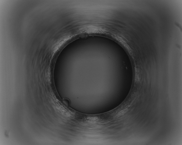 X0000102030391200807181355