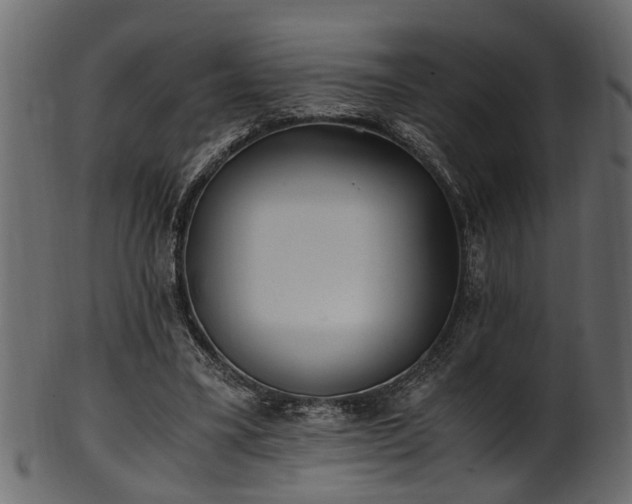 X0000102030395200807181355