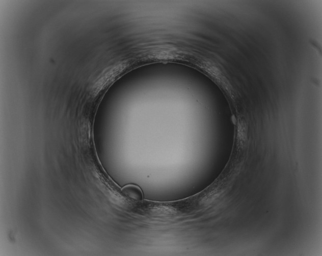 X0000102030397200807181355