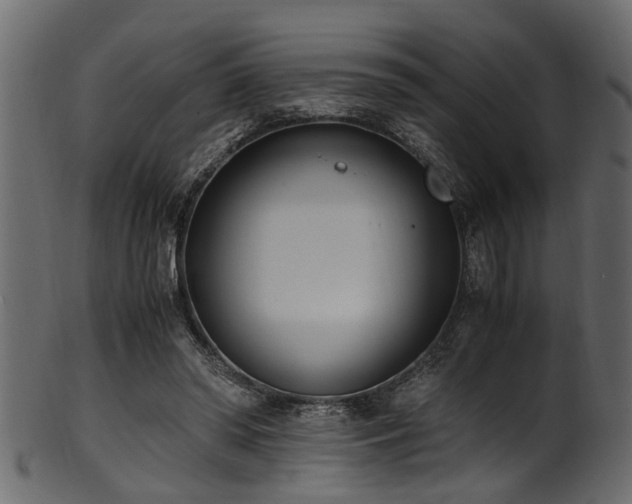 X0000102030398200807181355