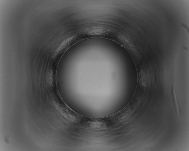 X0000102030400200807181355