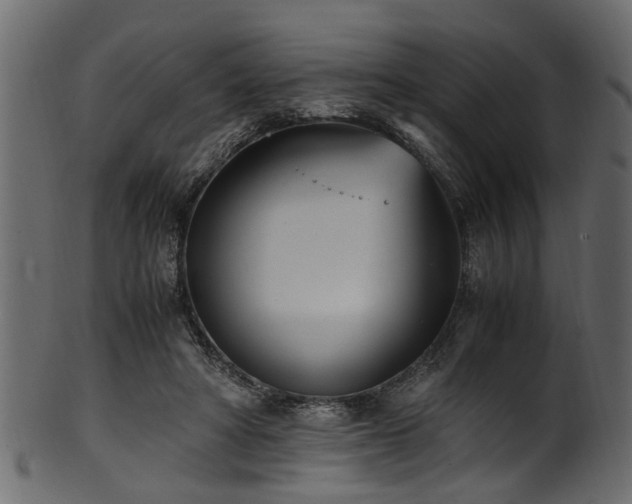 X0000102030402200807181355