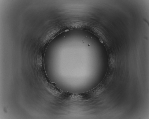 X0000102030403200807181355