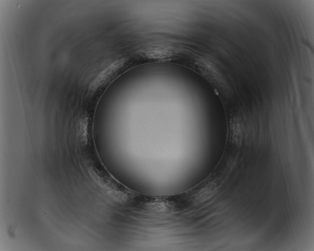 X0000102030404200807181355