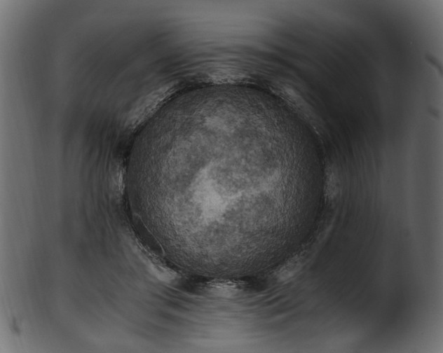 X0000102030405200807181355