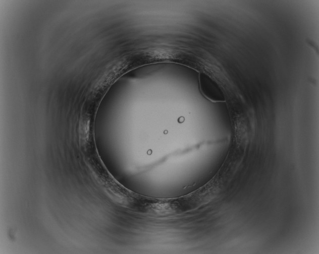 X0000102030406200807181355