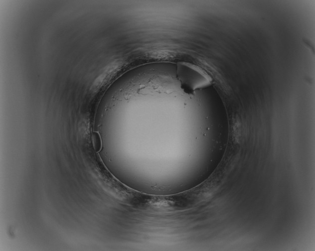 X0000102030407200807181355