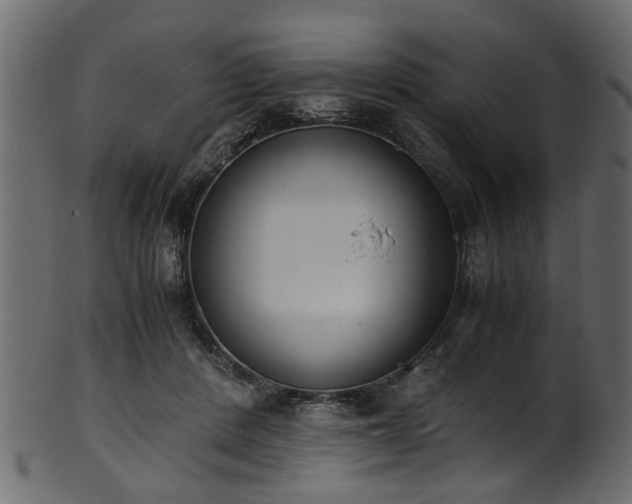 X0000102030408200807181355