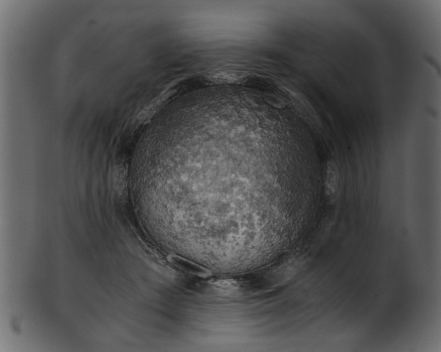 X0000102030409200807181355