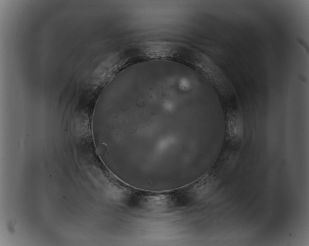 X0000102030411200807181355