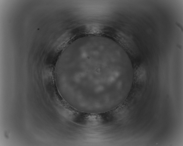 X0000102030415200807181354