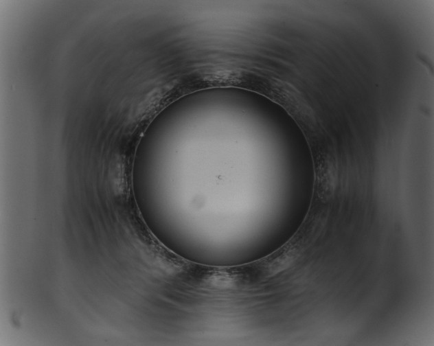 X0000102030416200807181354