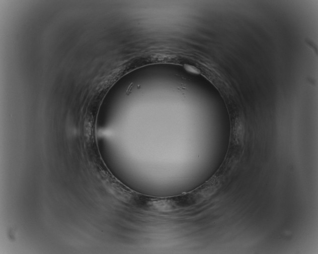 X0000102030417200807181354