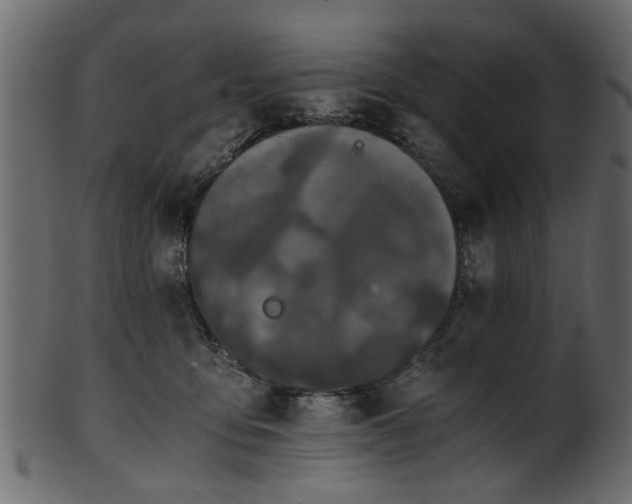 X0000102030419200807181354