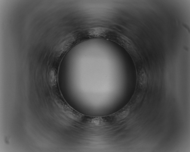 X0000102030420200807181354