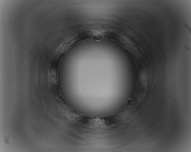 X0000102030421200807181354