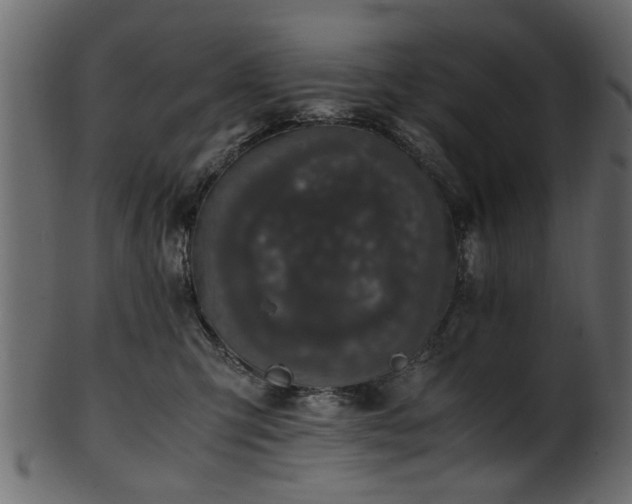 X0000102030423200807181354