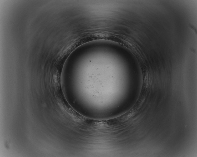 X0000102030424200807181354