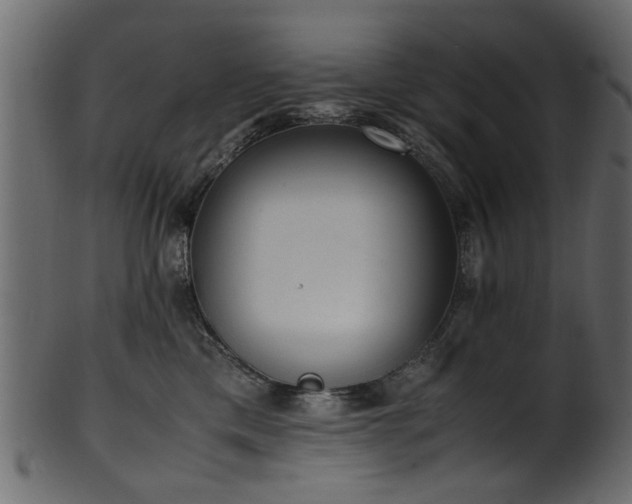 X0000102030425200807181354